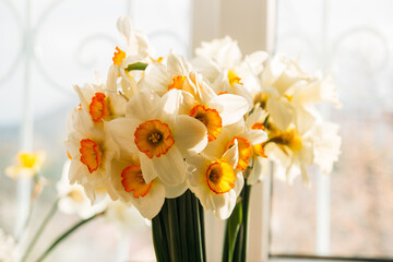 Bouquet of yellow daffodils on windowsill in the sunshine