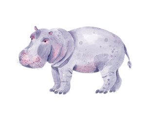 Fototapeta na wymiar Watercolor hippopotamus. Hand-drawn cute illustration isolated on the white background