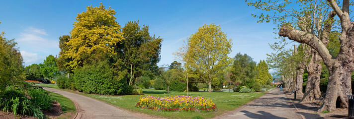 Panoramic view of Wellington Park in Somerset, from Just inside the main entrance gates on a beautiful day in early May. - obrazy, fototapety, plakaty