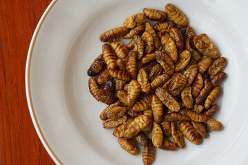 Closeup fried silk worms on white plate. Concept : insects eating. Weird food.  Very popular snack traditional Thai Street Food, Edible Worms. High protein.       