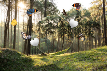 Fototapety na wymiar - Fototapeta24.pl