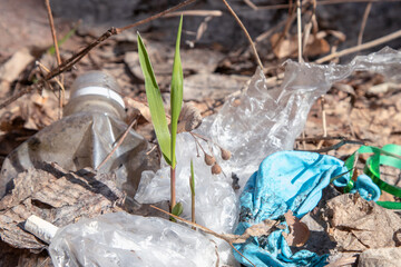 Garbage such as a plastic bottle, a plastic bag and a burst balloon left after a party in nature prevents new grass from growing in the forest in the spring, polluting the soil. Help the Earth