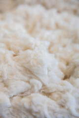 White Cotton or wool texture background surface. Textile industry concept background.