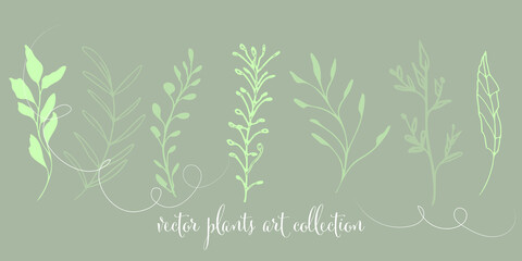 Fototapeta na wymiar Modern plant set. Hand drawn colorful and universally usable. Flower branch and minimalistic plants. Hand drawn lines, elegant leaves for your own design. Botanical, chic and trendy plants.