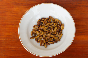 White plate of fried silk worms. Concept : insects eating. Weird food.  Very popular snack traditional Thai Street Food, Edible Worms. High protein. Top view, Brown wooden background.    