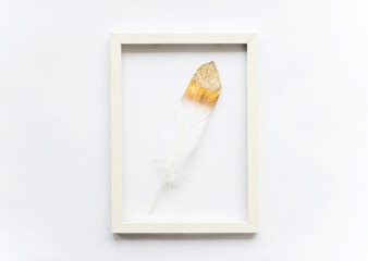 Golden bird feather in a frame on a white background with copy space for text. Minimal concept. View from above. Easter card, soft selective focus.
