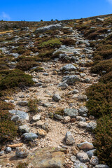 Fototapeta na wymiar Narrow trail up the mountain of gray stones and low brown vegetation