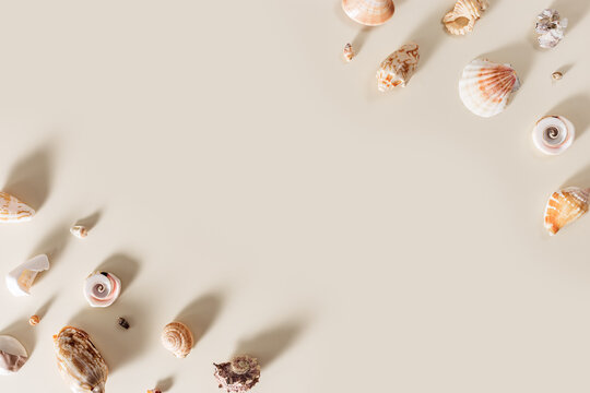 Seashells and starfish with shadows on beige pastel background at sunlight. Summer vacation concept. Nautical and sea life theme. Minimal top view with natural shells, sea stars, stones.