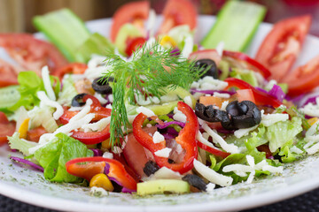 Close-up salad plate. Vegetables.