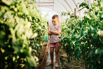 Sad girl child in a greenhouse with tomatoes, a young gardener and failure. Negative emotions and a...