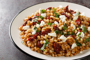 Homemade Healthy Farro Tomato Salad with Herbs close-up in a plate on the table. Horizontal