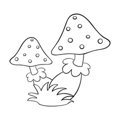 inedible amanita mushroom on isolated background, cartoon, contour
