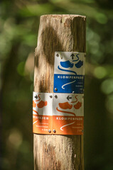 Hattem, The Netherlands, July 31, 2021: wooden pole with little signs indicating Klompenpad (clog path) hiking trails through the forest - obrazy, fototapety, plakaty