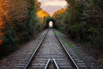 Vista de vías del tren al atardecer, con túnel de árboles