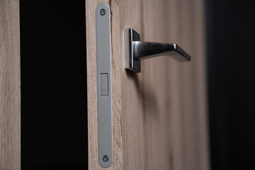 modern and secured metal door handle and latch detail
