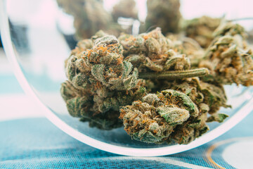 Packshot de Marijuana, CBD, hemp