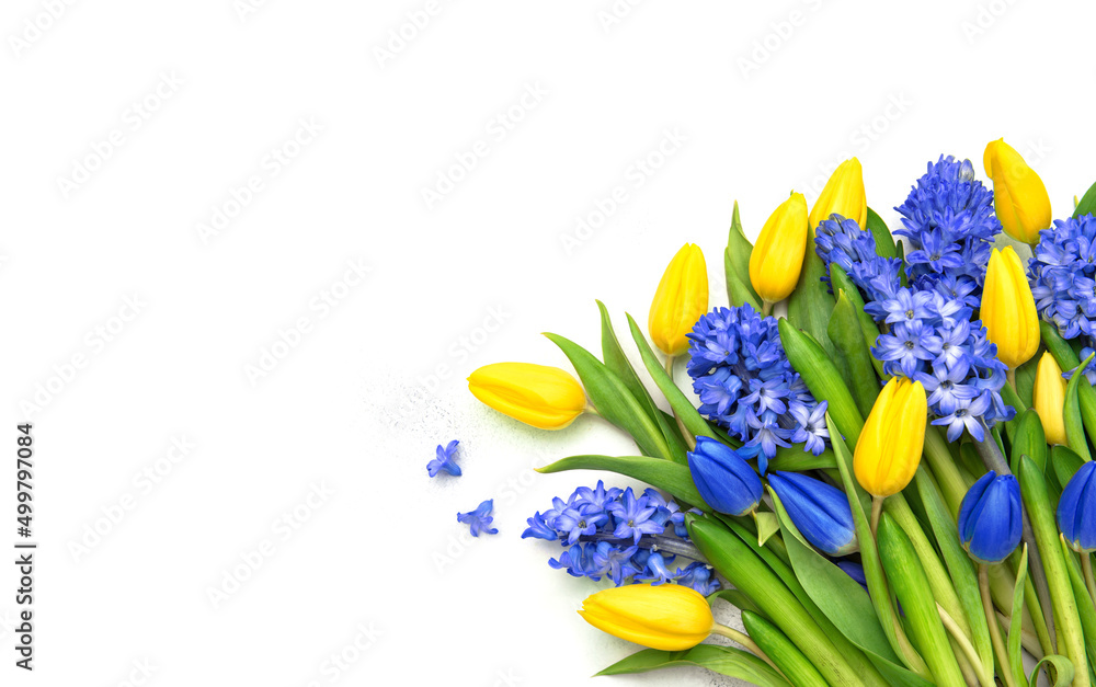 Poster yellow blue tulip hyacinth flowers bouquet. spring floral background