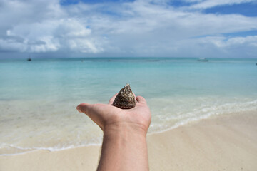 A hand holding a shell from a clam on the background of the blue Indian ocean and white sandy beach on the coast of the island of zanzibar in tanzania