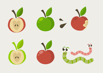 Red and green apple set with warms. Fruit design elements. Whole apples, slices, leaves and apple seeds vector design elements isolated on white. Red, green and red apples set. Vector illustration