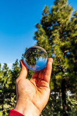 Árboles reflejados en una lensball en el Parque Nacional del Teide, isla de Tenerife.