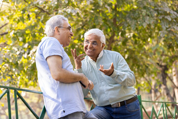 Two happy senior male friends spending leisure time at park