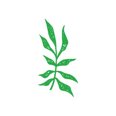 Hand drawn minimalist green natural branch with stem and leaves monochrome grunge texture vector