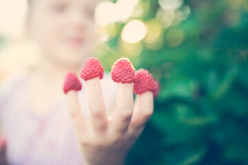 Cute funny european girl child eats raspberries with her hands, daughter helps pick berries in the garden, eco-friendly healthy food and natural berries