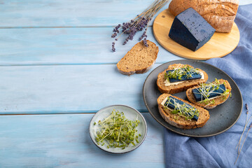 Bread sandwiches with blue lavender cheese and mustard microgreen on blue, side view, copy space.
