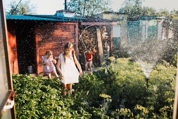 Hot summer and garden. Children bathe under the spray of a garden watering system. Children dance...