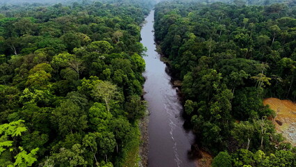 Aerial view of the River in the rainforest. Jungle in Africa. Tropical Africa. Equatorial Guinea....