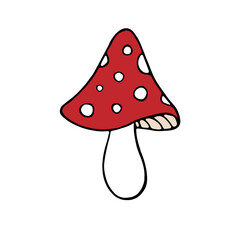 Vector hand drawn doodle sketch colored fly agaric mushroom isolated on white background
