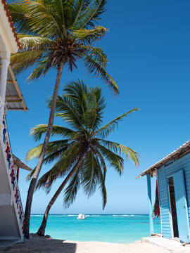 Typical caribbean house near Atlantic ocean seashore with coconut palm tree. Blue exterior of tropical wooden hut. Dominican Republic