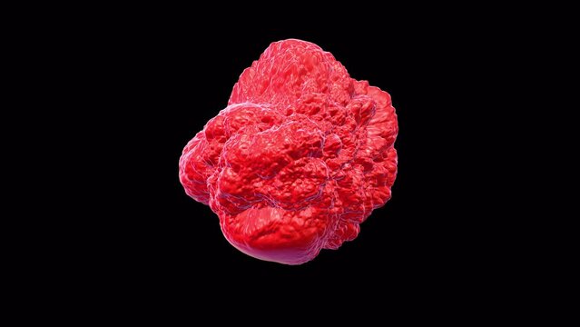 Organic Red liquid ball alpha loop