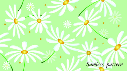  Floral Daisy Background - seamless pattern for design