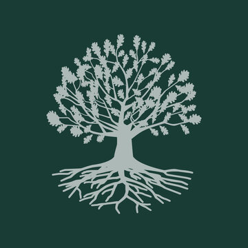Oak tree as logo design. Illustration of an oak tree as a logo design on a dark background