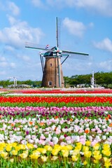 windmill and tulips