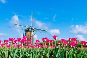 windmill