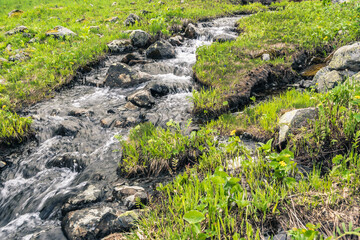 Spring creek among rocks and green grass. Mountain stream on summer day. Water foams in riverbed,...