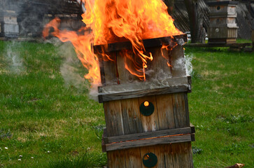 during the plague epidemic at apiary, it is necessary to ensure hygienic burning of all hives and...