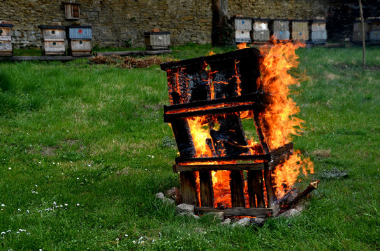 during the plague epidemic at apiary, it is necessary to ensure hygienic burning of all hives and tools that came into contact with sick bees. sad event and view of burning beekeeping equipment