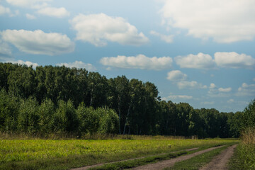 Dirt road in countryside. Walking under blue sky with clouds. Green forest on horizon. Atmosphere of tranquility and freedom from civilization