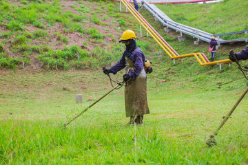 Female working wear protective clothing mows the lawn grass