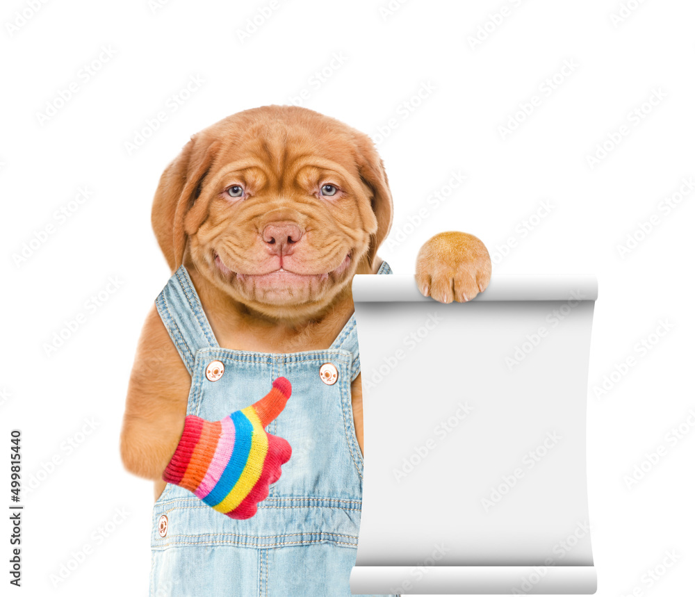 Poster Puppy wearing overalls shows empty list and thumbs up gesture. Isolated on white background