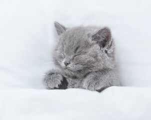 Cozy kitten sleeps under blanket on a bed at home. Top down view
