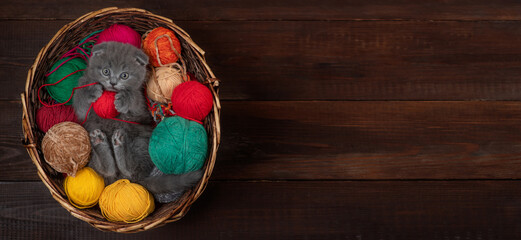 Tiny gray Kitten lies inside a basket on clews of thread. Top down view. Empty space for text