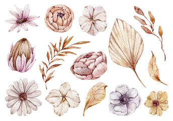 Watercolor hand painted boho flowers and leaves clipart, individual elements of roses, dried leaves, branches illustrations. Botanical illustration set isolated on white background. 