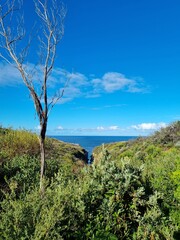 The cliffs near Cronulla beach in Sydney, Australia on a sunny day