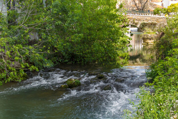 Fototapeta premium waterfall in the park