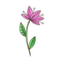 Obraz premium Vector drawing of a decorative lily flower with stamens and leaf. Vector flat illustration. Icon, sticker. Cartoon illustration.