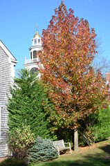 Some beautiful panoramas taken during a trip to New England in the Fall of 2013